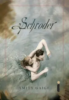  Schroder  -  Amity Gaige 