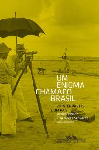 Baixar Livro Um Enigma Chamado Brasil - André Botelho em ePub PDF Mobi ou Ler Online
