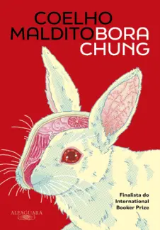 Baixar Livro Coelho Maldito - Bora Chung em ePub PDF Mobi ou Ler Online
