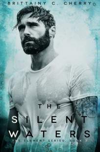 Baixar Livro The Silent Waters - The Element Series Vol. 3 - Brittainy C. Cherry em ePub PDF Mobi ou Ler Online