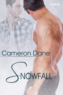 Baixar Livro Nevasca - Irmãos Adotivos Vol. 3 - Cameron Dane em ePub PDF Mobi ou Ler Online