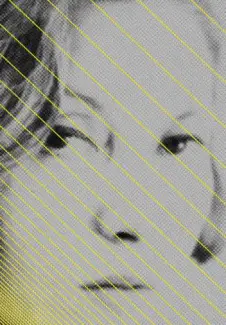 Todas as Crônicas  -  Clarice Lispector