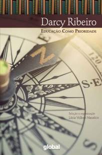 Baixar Livro Educação Como Prioridade - Darcy Ribeiro em ePub PDF Mobi ou Ler Online
