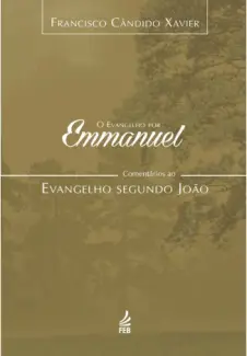 Baixar Livro O Evangelho por Emmanuel - Joao - Francisco Candido Xavier em ePub PDF Mobi ou Ler Online