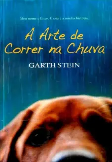 A Arte de Correr na Chuva  -  Garth Stein