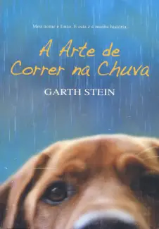 Baixar Livro A Arte de Correr na Chuva - Garth Stein em ePub PDF Mobi ou Ler Online