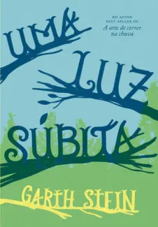 Uma Luz Súbita  -  Garth Stein