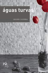 Baixar Águas Turvas - Helder Caldeira ePub PDF Mobi ou Ler Online