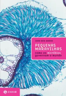 Pequenas maravilhas  -  Idan Ben-Barak