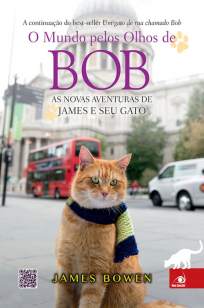 Baixar Livro O Mundo Pelos Olhos de Bob - James Bowen em ePub PDF Mobi ou Ler Online