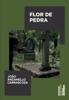 Baixar Livro Flor de Pedra - João Anzanello Carrascoza em ePub PDF Mobi ou Ler Online