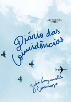Diário das Coincidências  -  João Anzanello Carrascoza