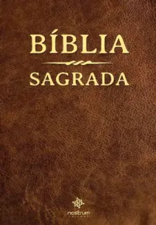 Baixar Livro Biblia Sagrada - Joao Ferreira de Almeida em ePub PDF Mobi ou Ler Online
