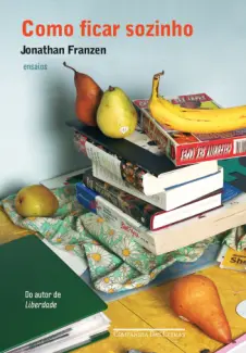 Como Ficar Sozinho  -  Jonathan Franzen