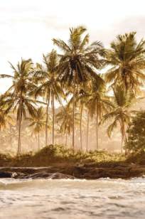 Baixar Livro A Ilha - Joyce Martins em ePub PDF Mobi ou Ler Online