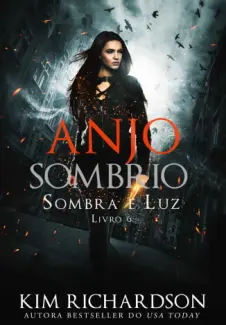 Baixar Livro Anjo Sombrio - Sombra e Luz Vol. 6 - Kim Richardson em ePub PDF Mobi ou Ler Online