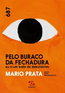 Baixar Livro Pelo Buraco da Fechadura - Mario Prata em ePub PDF Mobi ou Ler Online