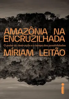 Baixar Livro Amazônia na Encruzilhada - Míriam Leitão em ePub PDF Mobi ou Ler Online