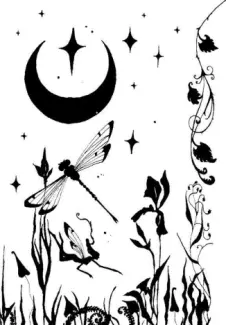 O Mistério da Estrela  -  Neil Gaiman