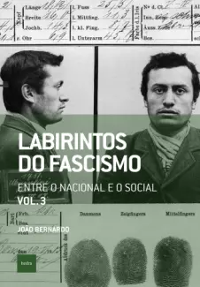 Baixar Livro Entre o Nacional e o Social - Labirintos do Fascismo Vol. 3 - Paulo Henrique Pompermaier em ePub PDF Mobi ou Ler Online