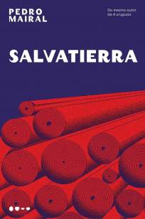 Baixar Livro Salvatierra - Pedro Mairal em ePub PDF Mobi ou Ler Online