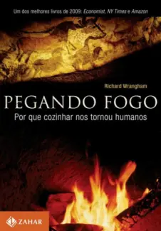 Pegando fogo  -  Por que cozinhar nos tornou humanos - Richard Wragham