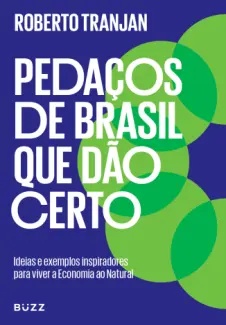 Baixar Livro Pedaços de Brasil que Dão Certo - Roberto Tranjan em ePub PDF Mobi ou Ler Online