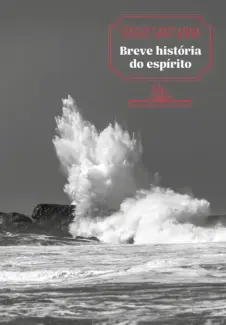 Baixar Livro Breve História do Espírito - Sérgio Sant’anna em ePub PDF Mobi ou Ler Online