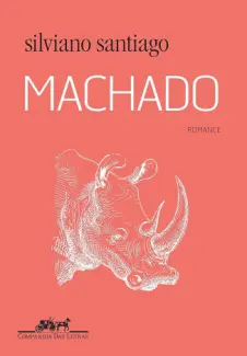 Baixar Livro Machado: Romance - Silviano Santiago em ePub PDF Mobi ou Ler Online