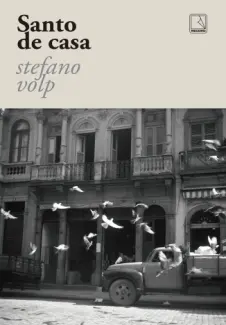 Baixar Livro Santo de Casa - Stefano Volp em ePub PDF Mobi ou Ler Online