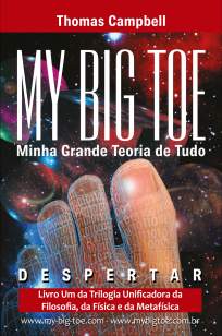 Baixar Livro Minha Grande Teoria de Tudo - Thomas Campbell em ePub PDF Mobi ou Ler Online