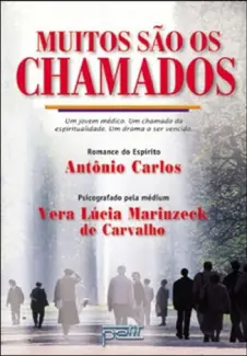 Baixar Livro Muitos são os Chamados - Vera Lúcia Marinzeck de Carvalho em ePub PDF Mobi ou Ler Online